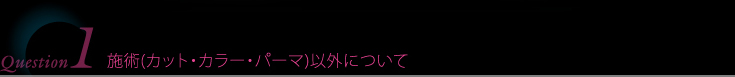 Question1 施術(カット・カラー・パーマ)以外について