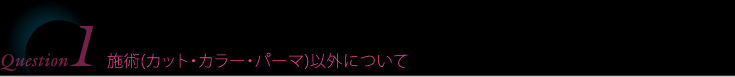 Question1 施術(カット・カラー・パーマ)以外について